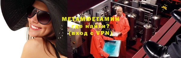 ПСИЛОЦИБИНОВЫЕ ГРИБЫ Дмитриев