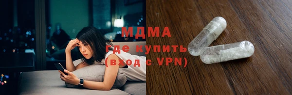 ПСИЛОЦИБИНОВЫЕ ГРИБЫ Дмитриев
