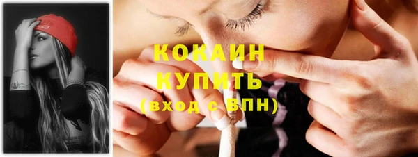ПСИЛОЦИБИНОВЫЕ ГРИБЫ Дмитриев