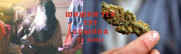 ПСИЛОЦИБИНОВЫЕ ГРИБЫ Дмитриев