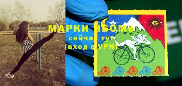 ПСИЛОЦИБИНОВЫЕ ГРИБЫ Дмитриев