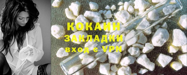 ПСИЛОЦИБИНОВЫЕ ГРИБЫ Дмитриев