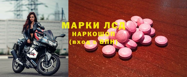 ПСИЛОЦИБИНОВЫЕ ГРИБЫ Дмитриев