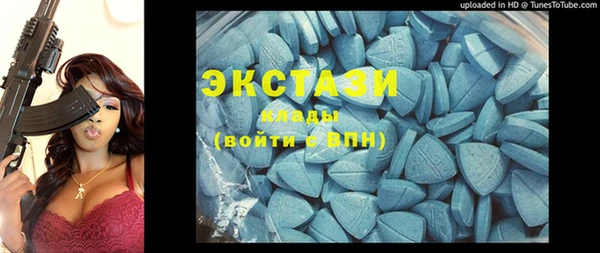 ПСИЛОЦИБИНОВЫЕ ГРИБЫ Дмитриев