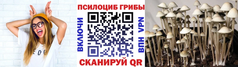 где купить наркоту  Емва  Галлюциногенные грибы Psilocybine cubensis 